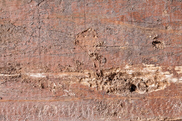 Texture old wood background.