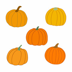 Pumpkin set hand drawn vector flat style vector illustration in bright warm colors, vegetable for seasonal autumn holidays celebration design, healthy vegetarian diet, Thanksgiving, Halloween clip art