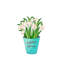 Snowdrop flowerpot isolated on white. Cartoon vector spring home vase flowers plants. Botanic weddding design.