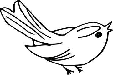 Vector doodle bird. A hand-drawn tit sketch. Bird cartoon illustration.