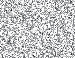 Black and white vector autumnal pattern of black outline oak leaves isolated on white background