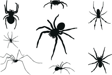 A set of spider silhouettes for Halloween, a black icon and a character. Vector illustration.