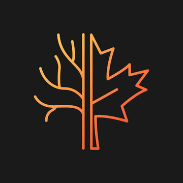 Maple tree gradient vector icon for dark theme. Official canadian emblem. Species of trees and bushes growing in Canada. Thin line color symbol. Modern style pictogram. Vector isolated outline drawing