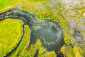 Aerial View Of Green Forest, Meadow And River Marsh Landscape In Summer. Top View Of European Nature From High Attitude In Sunny Summer Day. Bird's Eye View Of Flood Of River In Spring. Flat View