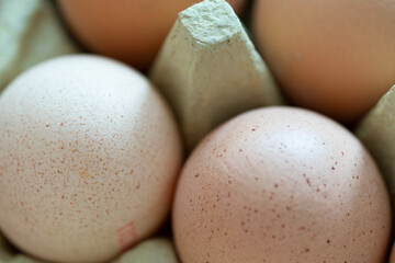 Eierpackung - Eier in einem Eierkarton
