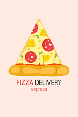 pizza delivery. vector illustration