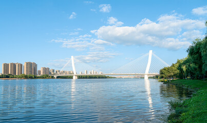 bridge over the river