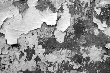 Сement wall with peeling paint and plaster in black and white.