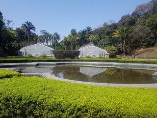 São Paulo Botanical Garden. Greenhouse view
