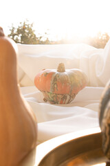 Three bight pumpkins in the ray of the setting autumn sun
