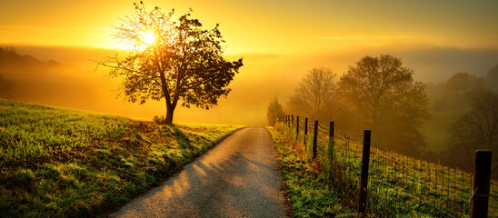 Ländliche Landschaft mit einem Weg und der Silhouette eines einsamen Baumes auf einer Wiese bei Sonnenaufgang, Nebel am Horizont und prächtigem goldenem Sonnenlicht
