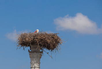 Distyle of Zalamea replica with stork nest on top. Extremadura, Spain