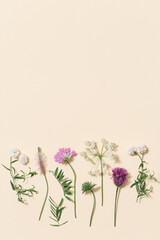Natural summer composition from wild flowers and grass Meadow, field and forest blooming and green...