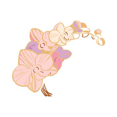isolated element orchid branch phalaenopsis golden silhouette pink flowers tattoo outline vector