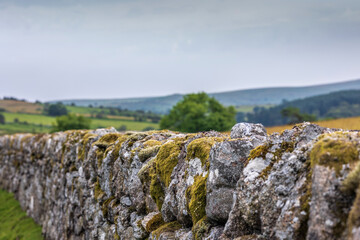 Traditional Dry Stone Wall Dartmoor Devon England