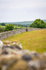 Traditional Dry Stone Wall Dartmoor Devon England