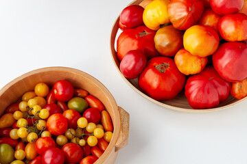 Bowl full of tomatoes. Plenty fresh tomatoes of various colors and cultivar. Vegetables from own garden.