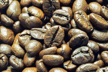 Close-up of coffee beans with details cracked by heat on a white background.