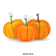 Three pumpkins of three different colors isolated on white background for content online or web, banner and template , Flat cartoon flat style. illustration Vector EPS 10