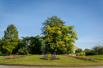 Landscaped flowerbeds and trees, Battersea Park, London, England, UK