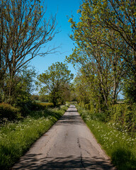 Fototapeta na wymiar long straight road in countryside with blue sky