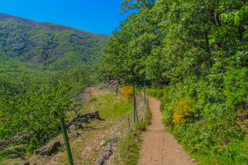 Fototapeta na wymiar Parque Natural de Valle del Jerte, Extremadura