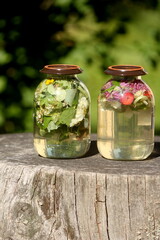 Two glass jars with sun tea. Solar tea is water heated by solar energy, which contains various tree leaves, flowers, medicinal herbs, fruits. 