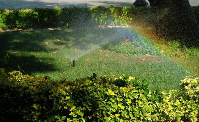 Irrigation system watering lawn in city park. Sprinkler head spaying water over green grass,...