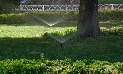 Irrigation system watering lawn in city park. Sprinkler head spaying water over green grass,...