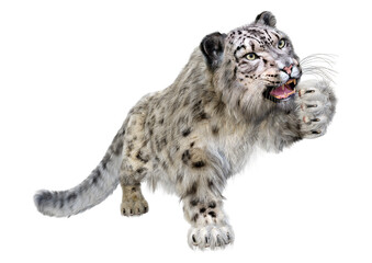 3D Rendering Snow Leopard on White