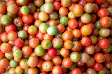 Red Tomato pattern for background.