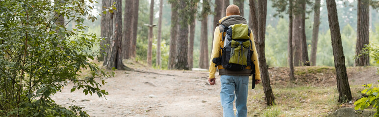 back view of hiker with backpack walking in forest, banner