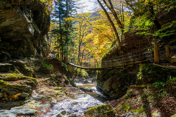 那須塩原 渓谷の紅葉