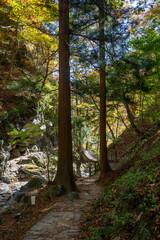 那須塩原 渓谷の紅葉