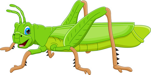 cartoon cute grasshopper isolated on white background