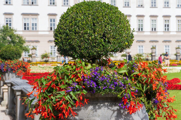 Mirabellgarten in Salzburg