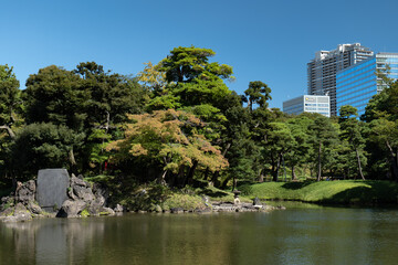 秋の青空と庭園の風景　9月