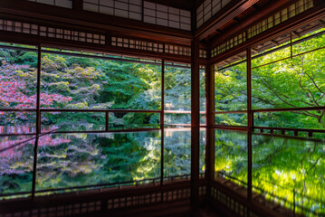 京都瑠璃光院の景色