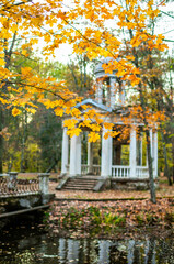 Old damaged cofee pavillion an autumn
