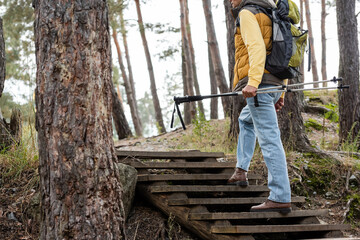 partial view of tourist holding trekking poles while walking on wooden stairs in forest
