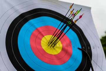 perfect target with arrows