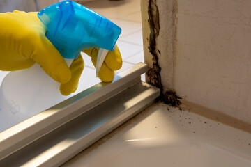Mold or fungus of the wall in the Shower room causing black or brown mold in the bathroom or toilet...