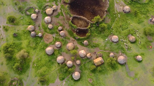 erial drone shot traditional masai village at sunset time near arusha tanzania