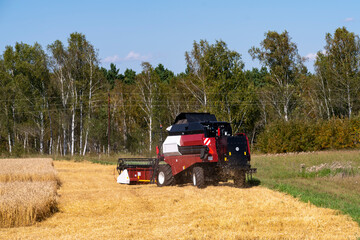 The harvester turns around when harvesting rye.