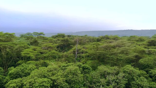 aerial view flying above lake manyara national park at evening the concervation area in tanzania near mto wa mbu arusha