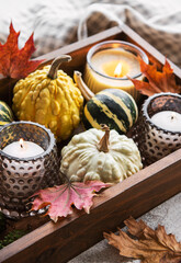 Autumn composition with assorted pumpkins