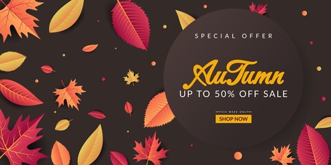 Autumn Sale background design with colorful leaves. Very suitable for banner, poster, flyer, advertising, etc.