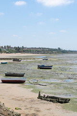 Fishing boats on the Cachucha beach in Puerto Real, Cadiz. Andalusia, Spain. Europe.
