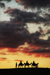 Camel Sunset in the Agafay Desert 