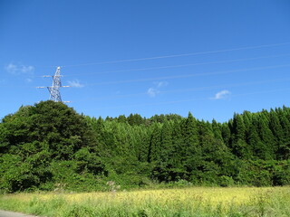 初秋の里山風景